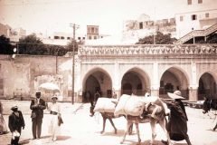 Early-Morocco