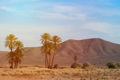 africa-g6532c23b1_1920