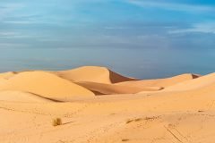 desert-4951530_1920