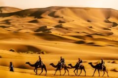 desert-5074739_1920