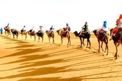 sahara-1