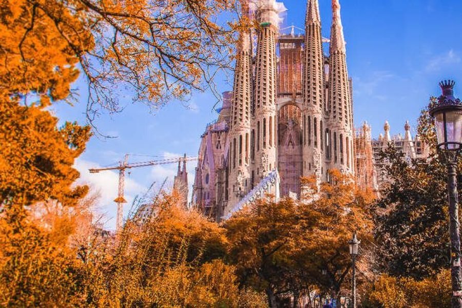 Guided Tour Sagrada Familia