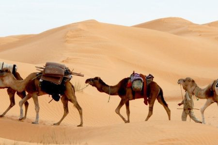 The Sahara Desert  in 4 Incredible Days
