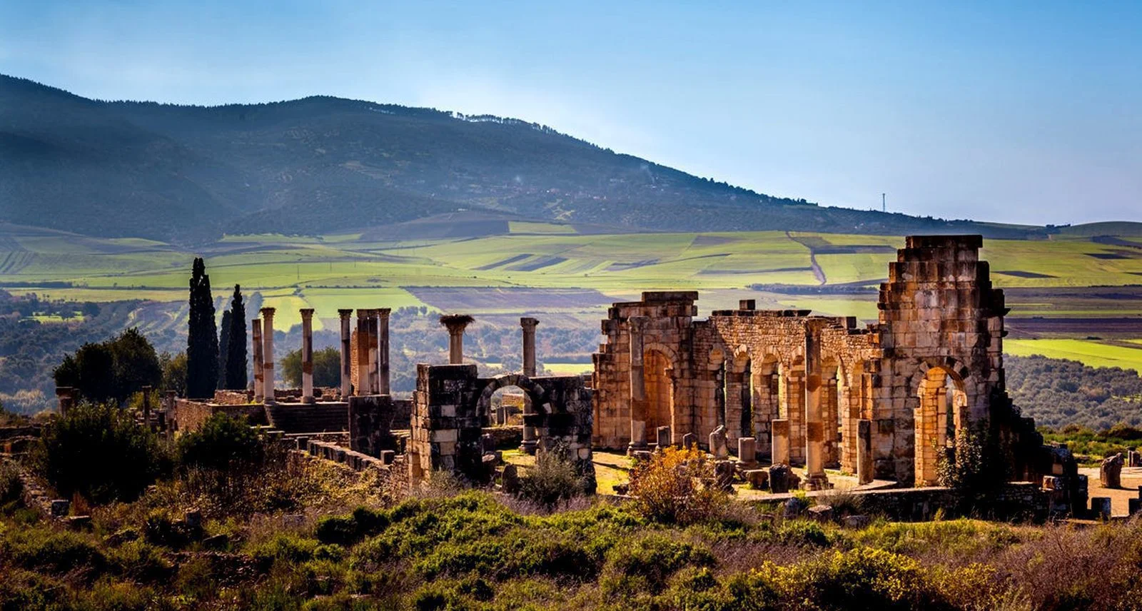 Walili (Volubilis)