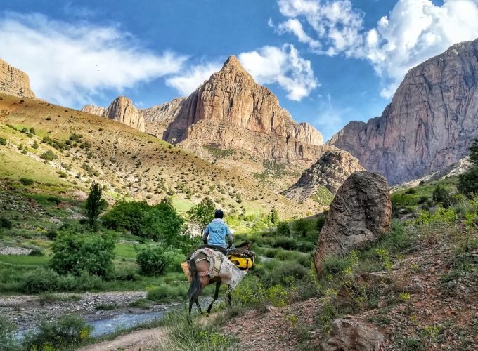 Best Private & Group Tours 