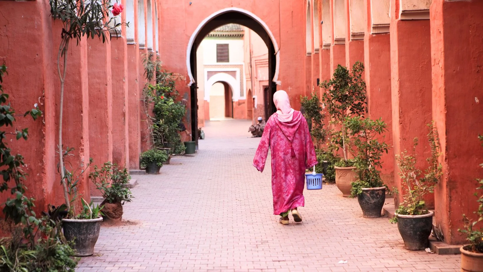 Cultural Journeys