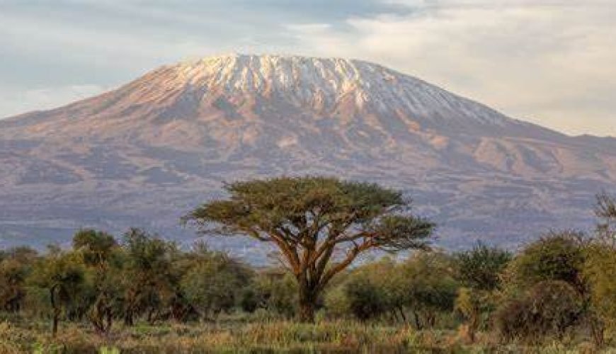 Conquering Kilimanjaro: Said’s Journey to Africa’s Highest Peak