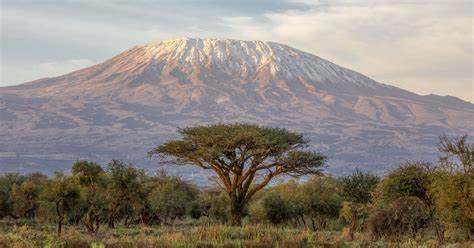 Conquering Kilimanjaro: Said’s Journey to Africa’s Highest Peak